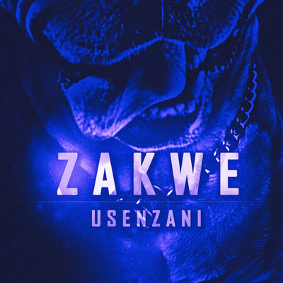 シングル/Usenzani/Zakwe