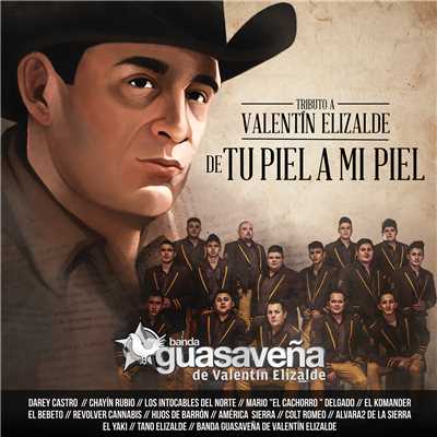 El Huizache (featuring Los Intocables Del Norte)/Banda Guasavena de Valentin Elizalde