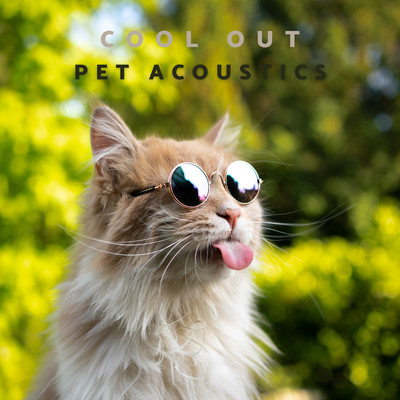 シングル/Cool Out/Pet Acoustics