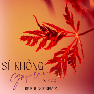 シングル/Se Khong Gap Lai (BP Bounce Remix)/Ningg