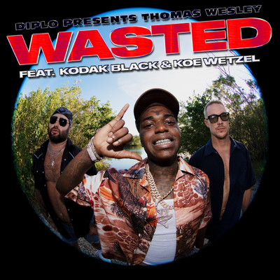 Wasted feat.Kodak Black,Koe Wetzel/Diplo