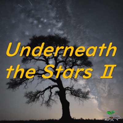 シングル/Undemeath the Stars II/JAZZY.KEI