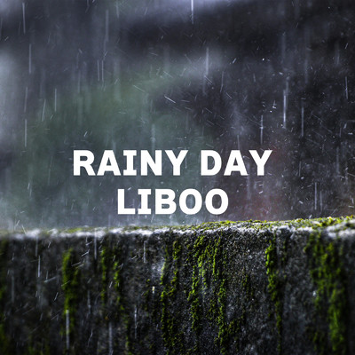 シングル/RAINY DAY/LIBOO