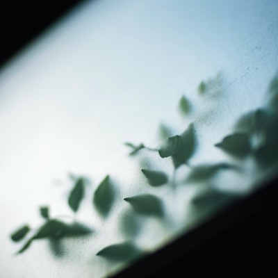 シングル/Cagey/Gloveity