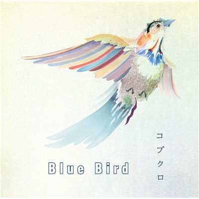 アルバム/Blue Bird/コブクロ