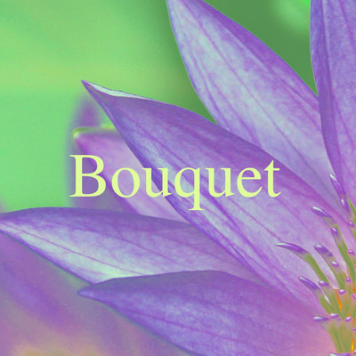 Bouquet/Atelier Pink Noise