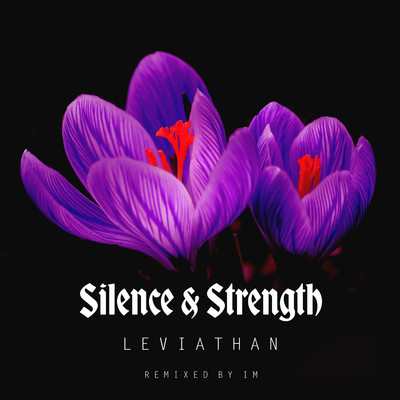 IM & Silence & Strength