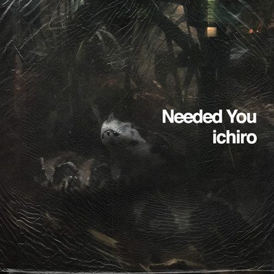 シングル/Needed You/ichiro