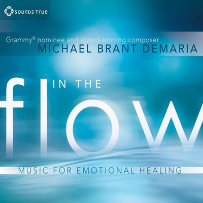 アルバム/In The Flow/Michael Brant DeMaria
