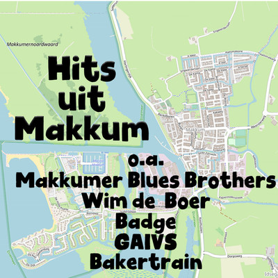 De Makkumer Bluesbrothers
