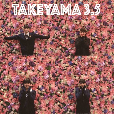 アルバム/TAKEYAMA3.5/たけやま3.5