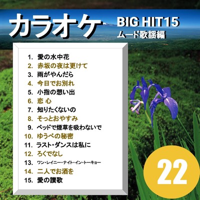カラオケ BIG HIT 15 ムード歌謡編 22/CTA カラオケ