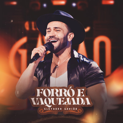 アルバム/Forro e Vaquejada/Gleydson Gaviao