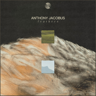 シングル/Feathers/Anthony Jacobus