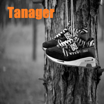 Tanager/Krause