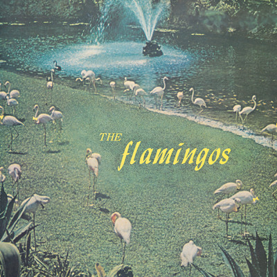 The Flamingos/フラミンゴス