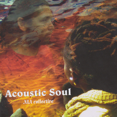 Accoustic Soul/NIA Collective