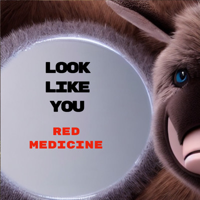 シングル/Look Like You/Red Medicine