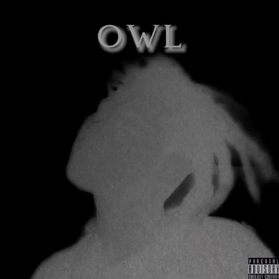 アルバム/OWL/2-KID