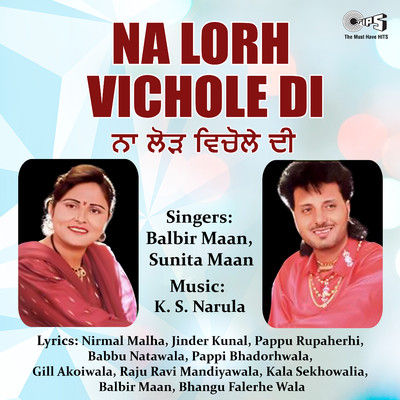 アルバム/Na Lorh Vichole Di/K.S. Narula