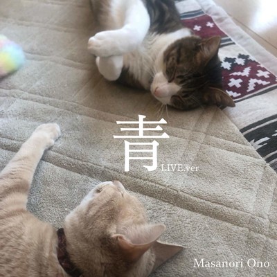 シングル/青(LIVE ver.)/大野 真伯