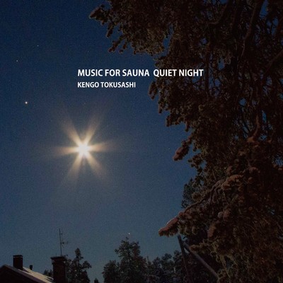 シングル/MUSIC FOR SAUNA QUIET NIGHT : Section 08/とくさしけんご