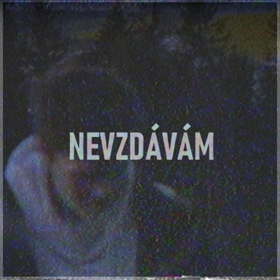 シングル/Nevzdavam (Explicit)/Skelly
