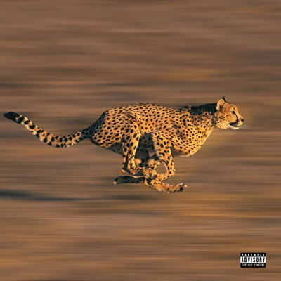 Cheetah/Bap & Runechi Miller