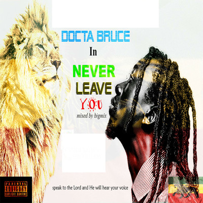 シングル/Never Leave You/Docta Bruce