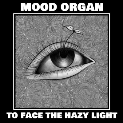 To Face the Hazy Light/Mood Organ