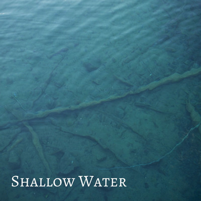 シングル/Shallow Water/Casey Michaels III