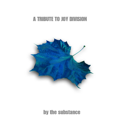 Joy Division Tribute/The Substance