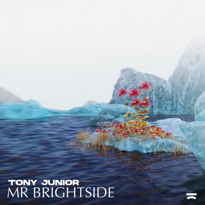 Mr Brightside/Tony Junior