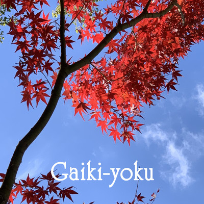 シングル/Gaiki-yoku/NONG HAYASHIDA