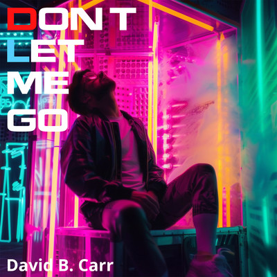 Don't Let Me Go/David B. Carr