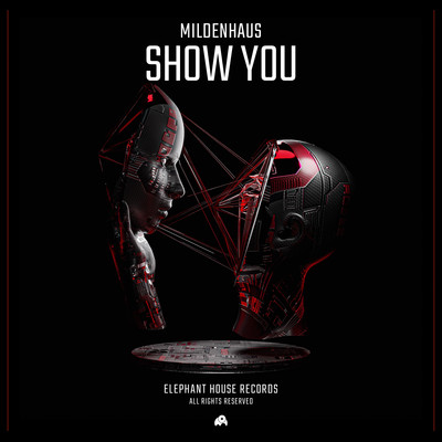 Show You (Extended Mix)/Mildenhaus