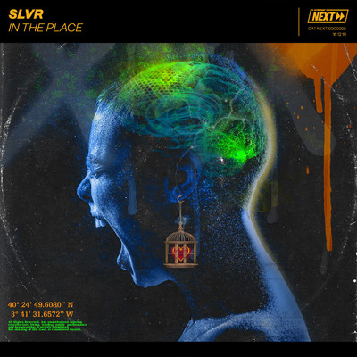 アルバム/In The Place/SLVR