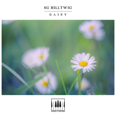 シングル/Daisy/SG Hilltwig