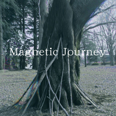 アルバム/Magnetic Journey/Yozhik