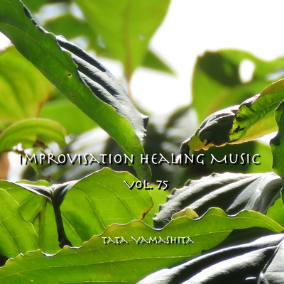 アルバム/Improvisation Healing Music, Vol.75/Tata Yamashita