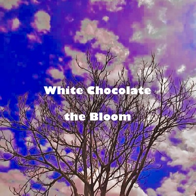 シングル/White Chocolate (feat. Pon)/the bloom