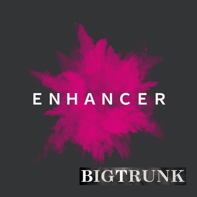 ENHANCER/BIGTRUNK