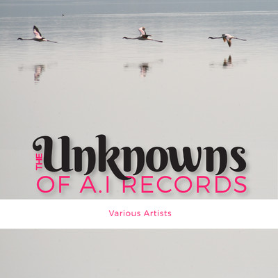 The Unknowns of A.I Records/Various Artists