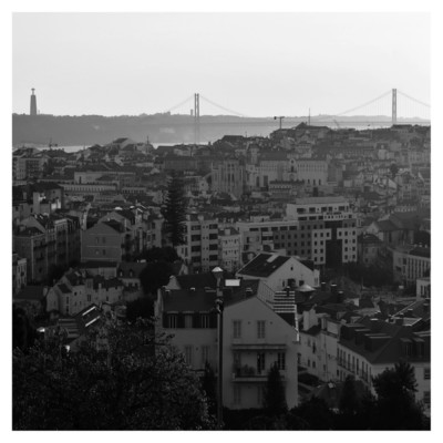 シングル/Lisbon/J. David
