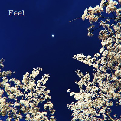 Feel/Takaisounds & 高井城治