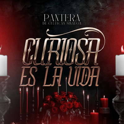 シングル/Curiosa Es La Vida/Pantera De Culiacan Sinaloa