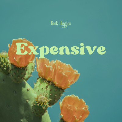アルバム/Expensive/Brok Diggins