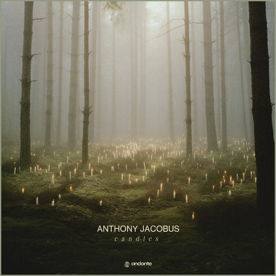 シングル/Candles/Anthony Jacobus