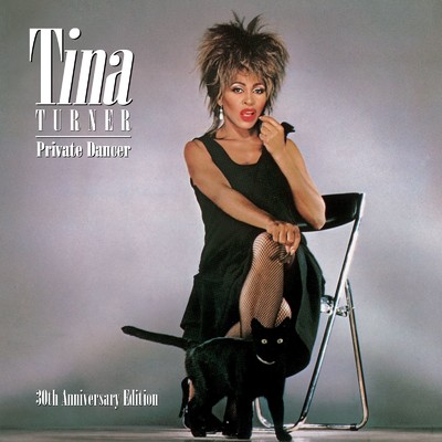 We Don't Need Another Hero (Thunderdome)/Tina Turner
