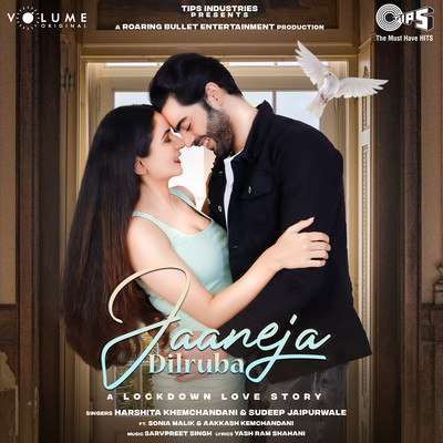 シングル/Jaaneja Dilruba/Harshita Khemchandani & Sudeep Jaipurwale